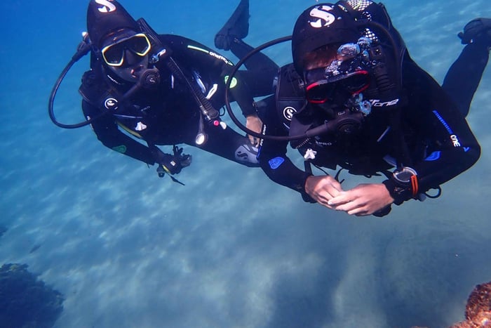 Puerto del Carmen: Try Scuba Diving from the beach