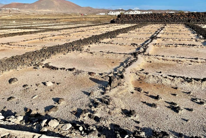 Route guided on the volcanic coast of Lanzarote.