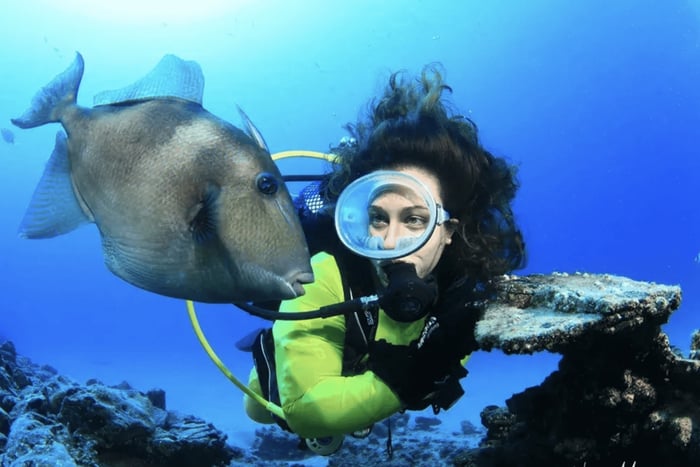 Scuba Diving Baptism and Boat Trip to Flamingo Wall