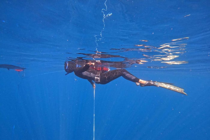 TRY FREEDIVING IN PUERTO DEL CARMEN, LANZAROTE