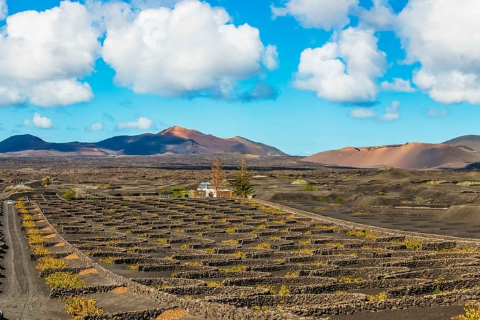 Arrecife: Timanfaya y Laguna Verde para cruceristas