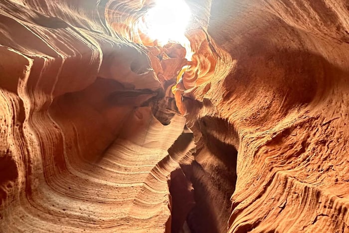 Antelope Canyon och Horseshoe Bend Vip liten gruppresa