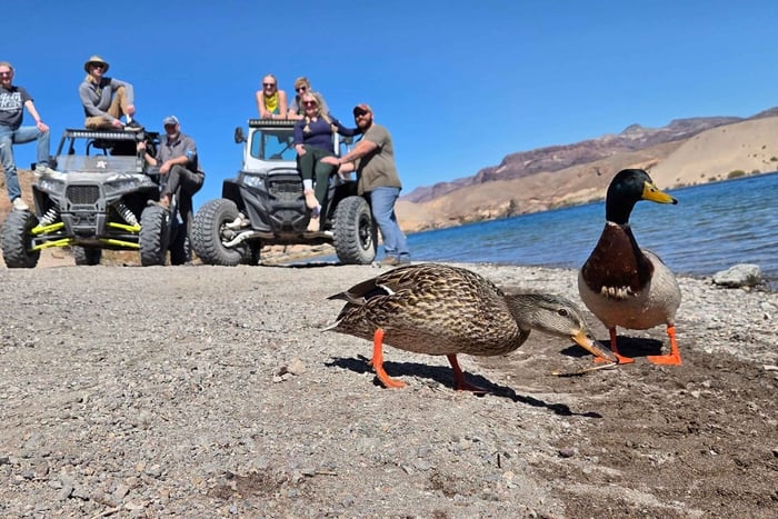 Tour RZR adrenalinico del fiume Colorado