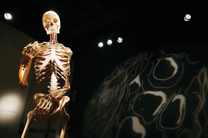 Las Vegas: BODIES | La Exposición en el Luxor