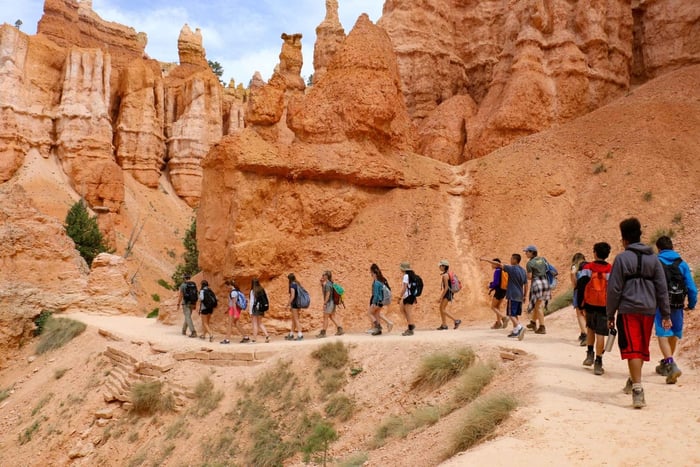 Las Vegas: tour por los parques nacionales de Bryce y Zion con almuerzo