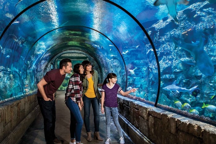 Las Vegas: toegangsticket Shark Reef Aquarium & VR Experience