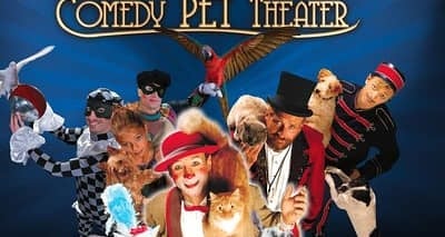 Popovich Comedy Pet Theater på Planet Hollywood Resort and Casino