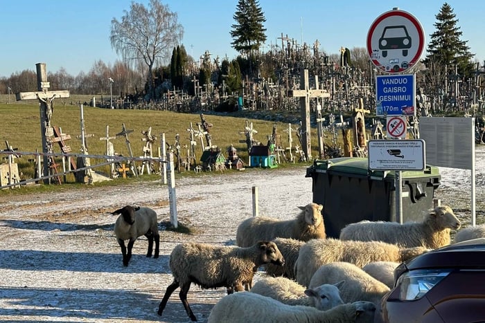 De Riga: Viagem ao Monte das Cruzes, Palácio Rundale e Bauska
