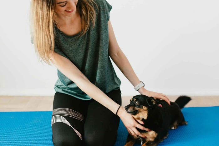 Puppy Yoga in Riga