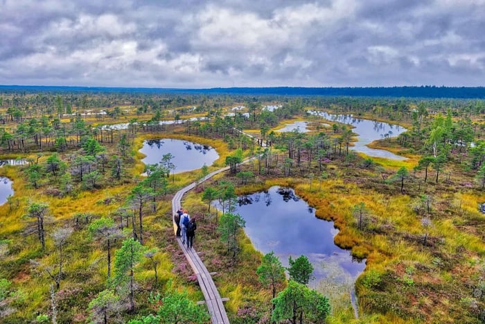 Riga: il meglio del Parco Nazionale di Kemeri in un solo giorno