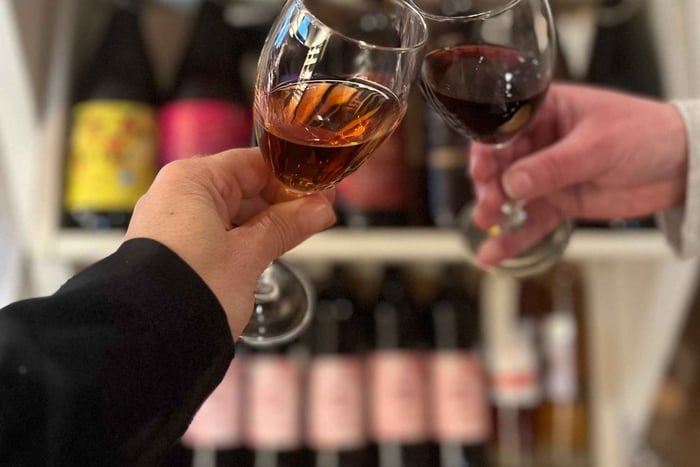 Riga: degustazione di vini di frutta e formaggi lettoni a Pienene