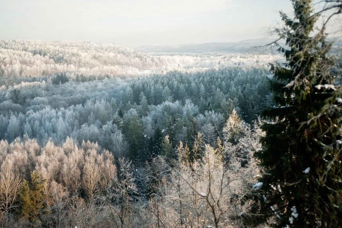 Sigulda: Walk in Gauja National Park with Photoghrapher