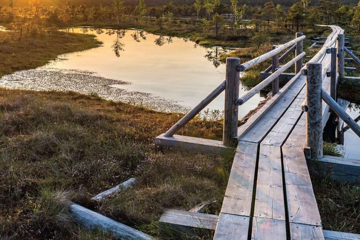 Solopgangstur til Great Kemeri Bog