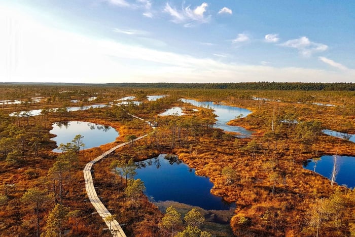 Riga: O melhor do Parque Nacional de Kemeri num só dia