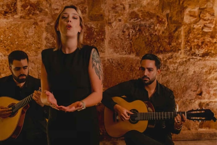 Oplev Fado i Lissabon med vin og middelalderlige omgivelser