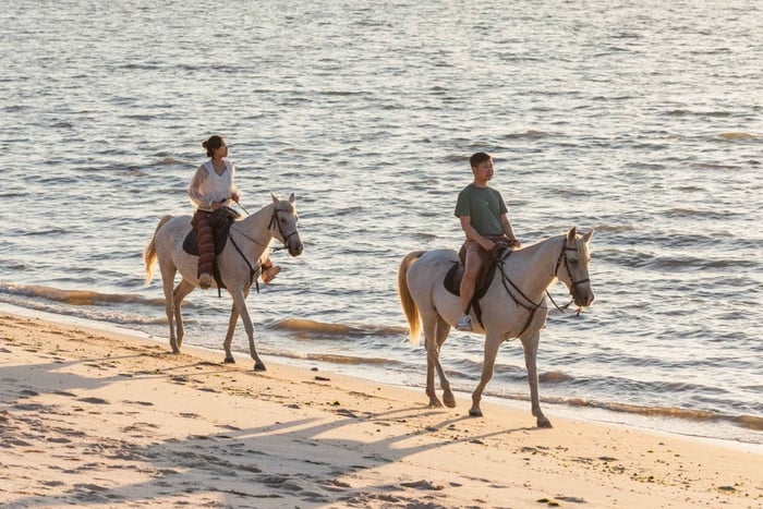 Paseo a caballo por la playa al atardecer.
