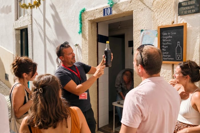 Tour a pie por la mañana por Alfama, Lisboa: casco antiguo y miradores