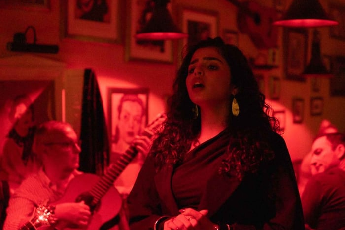 Lissabon: Rondleiding door Alfama en live fado met traditioneel diner