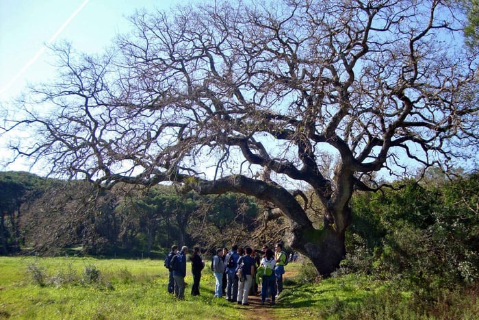 Lisboa: Vandring i Arrábida naturpark