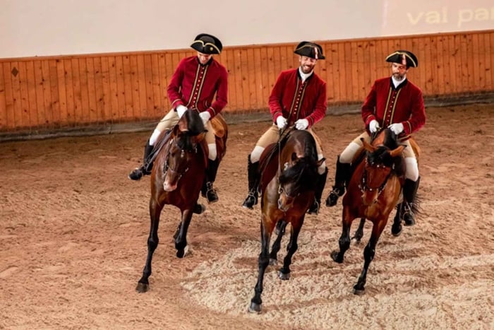 リスボン：ルシターノ馬による馬術芸術の朝