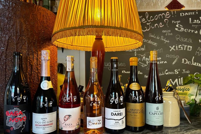 Lisboa: Cata de vinos de Oporto y vinos portugueses