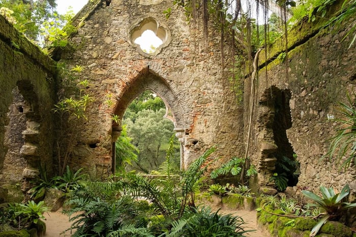 The Other Side of Sintra - Forgotten Woods Tour