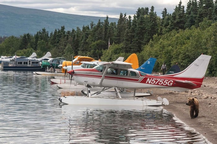 Brooks Falls: osservazione degli orsi nel Parco Nazionale di Katmai in idrovolante