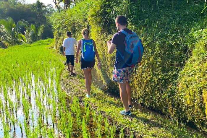 Exclusive Tetebatu: Waterfall, Rice Fields, Monkey & Weaving