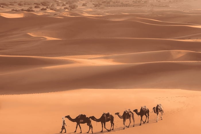 De Marrakech: Excursão de 3 dias a Merzouga e ao Deserto do Saara