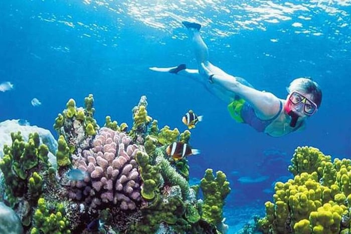Gili-øerne: Guidet snorkeltur i båd med glasbund og billeder