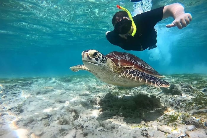 Giliöarna: Privat snorkling båttur med lokal guide