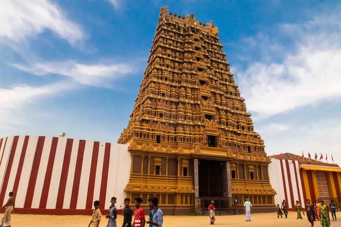 Aventura en tuk tuk por la ciudad de Jaffna: ¡explora como un lugareño!