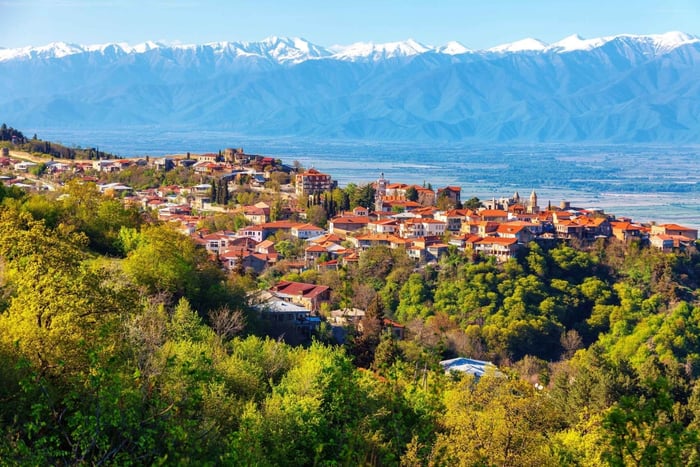 Kakheti Wine, Bread & Supra: Private Culinary Experience
