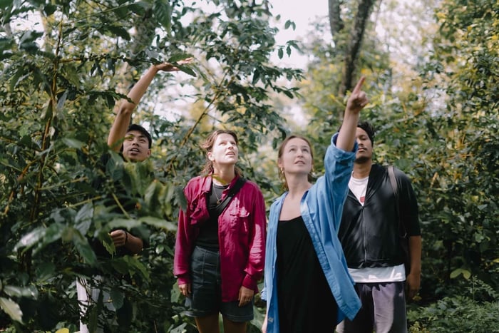 Lombok: Coffee Plantation Tour With Tasting