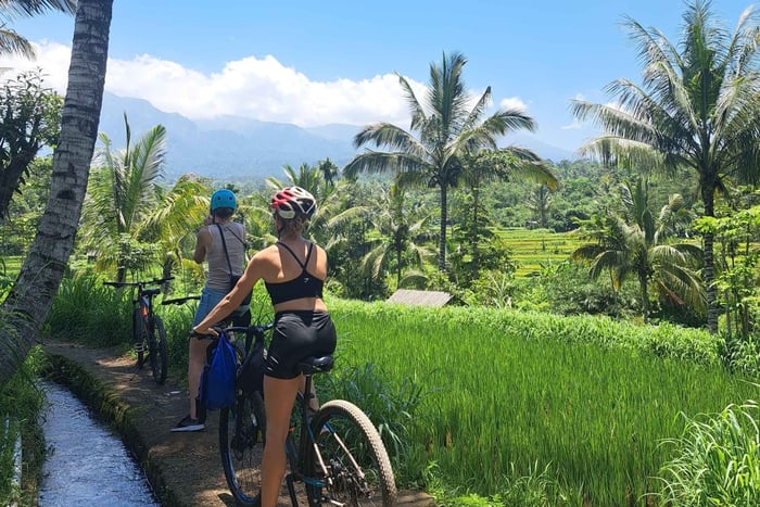 Lombok Cycling tour: Rice field, Waterfall, Monkey Forest