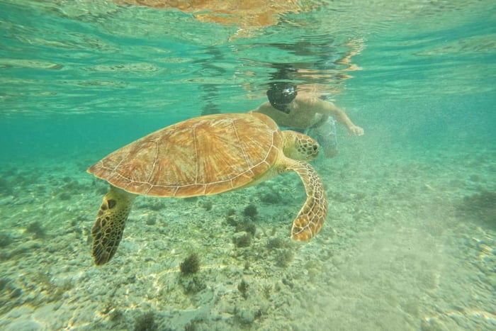 Lombok: privé snorkelen op de Gili-eilanden, met ophalen