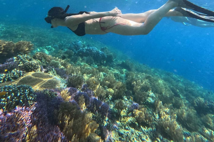 Lombok: Snorklingstur till Gili Nanggu, Sudak och Kedis