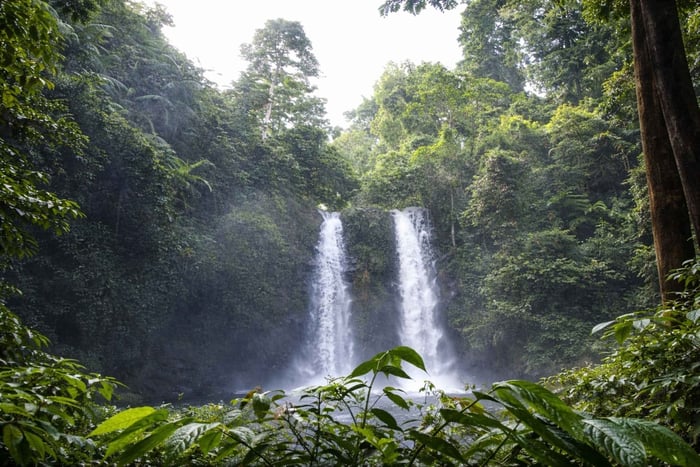 Lombok: Markedstur og vandfaldsvandring med guide