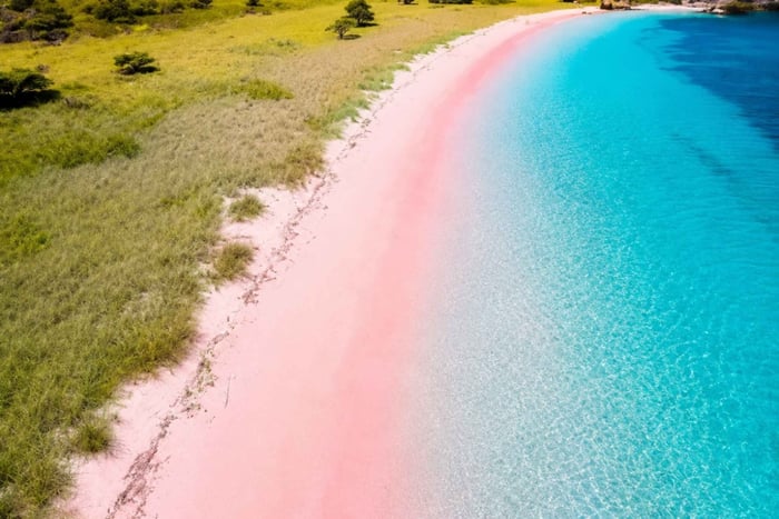 Lombok: tour privado de esnórquel en la playa Rosa y las islas Gili
