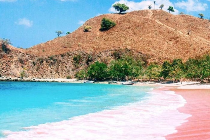 Lombok: Privat båtur til Pink Beach og Gili Petelu