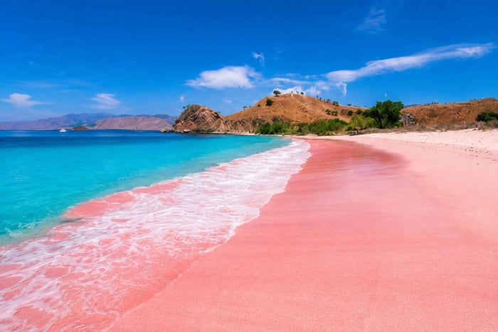 Lombok: Pink Beach ja snorklausretki Gili Petelulle – päiväkierros