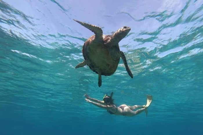 Lombok: Excursão Particular de Snorkel nas Secret Gilis