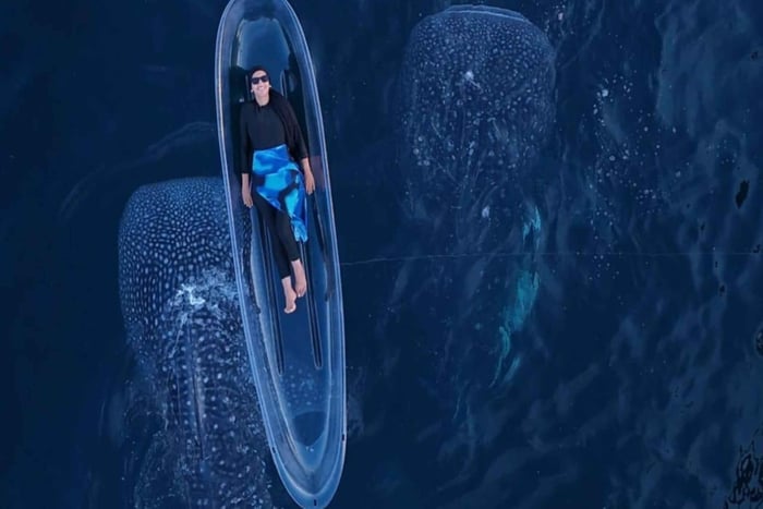 Lombok Sumbawa Sharing 2D1N Whale Shark Adventure