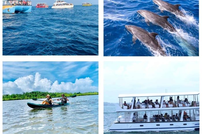 Mirissa : sortie en bateau pour l'observation des baleines et expérience en kayak