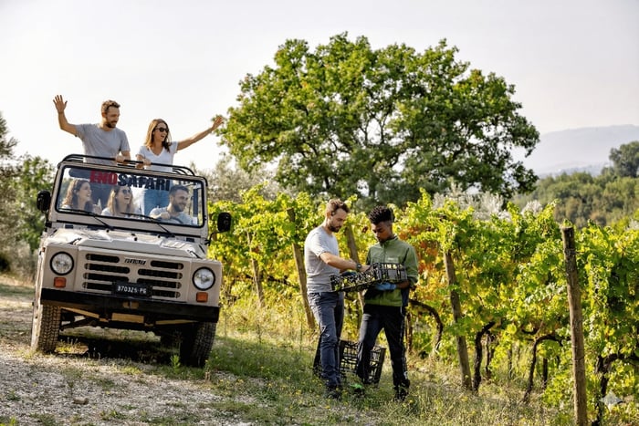 Montefalco: enosafari en jeep entre viñedos y degustación