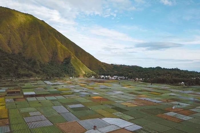 Ferme de fraises de Sembalun, colline de Selong et maison traditionnelle