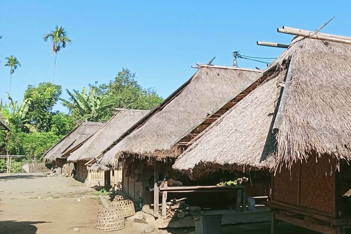 Senaru: Village Walk and Local Farming Experience