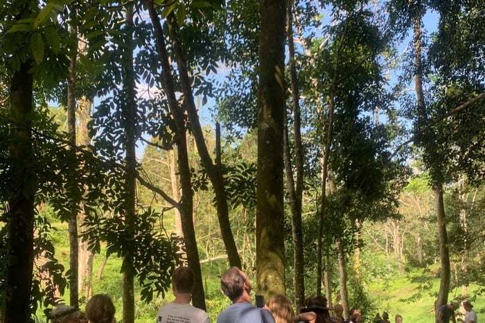 Tetebatu: Jungle, Waterfall, and Village Tour