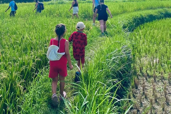 Tetebatu Village, Rice Fields & Monkey Forest Tour (Lombok)