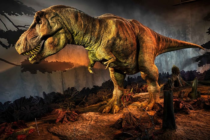 Londres: visita guiada a los monstruos antiguos del Museo de Historia Natural